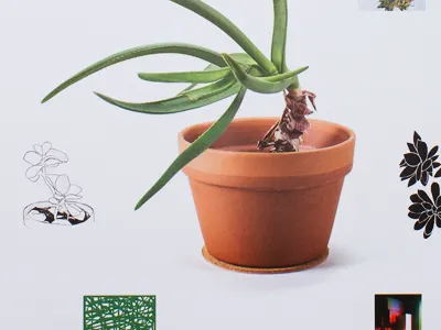 Natural Talisman illustration photography posters side projects