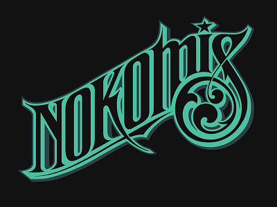 nokomis v2 110k illustration lakes lettering minnesota type typography