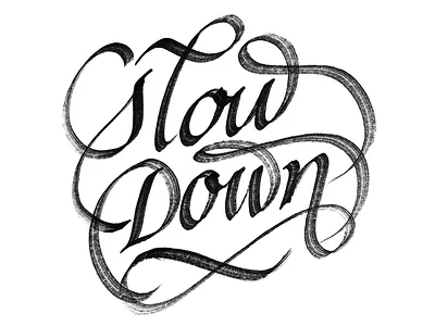 Slow down calligraphy flourish ornamental