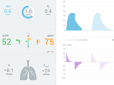 Measurements lungs medical pie chart