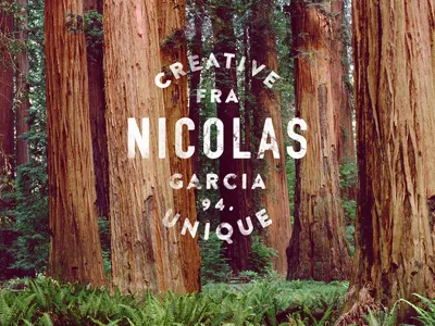 New logo ! clean creative forest frr logo logotype nature new nicolas simple unique