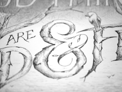 Something wild is coming up ampersand illustration lettering nature nemetz postcards wild