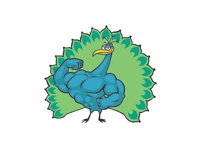 Muscular Peacock bird body builder cartoon muscle muscles peacock strong vector