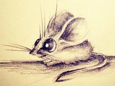 mighty mouse art character drawing illustration paint sketch