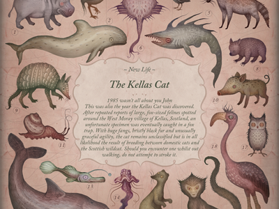 ~ New Life II ~ animal species animals creatures new life species the book of everyone