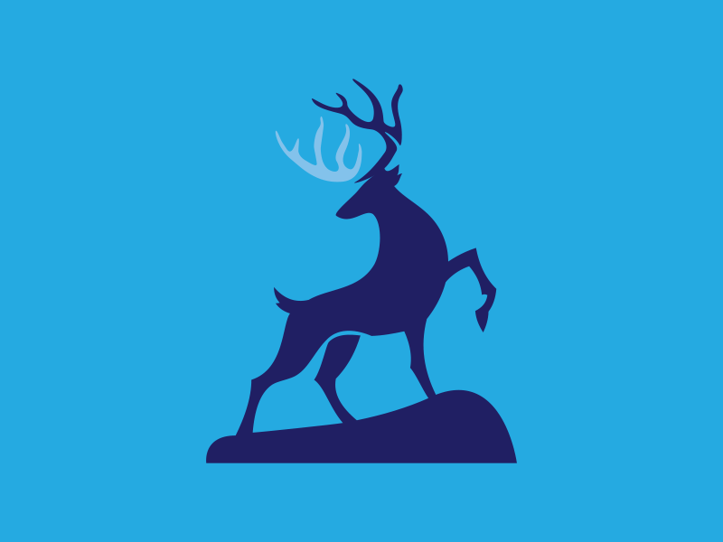 Stag logo branding buck identity logo stag