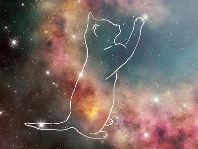 Catstellations cat illustration series space