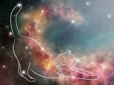 Catstellations cat illustration space