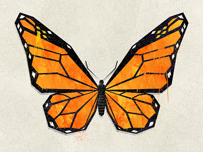 Lepidopterology - Monarch butterfly geometric illustrator photoshop