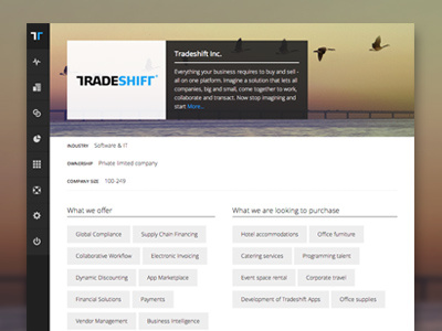 Business Profile business company enterprise geese interface profile sunset tablet tradeshift ui