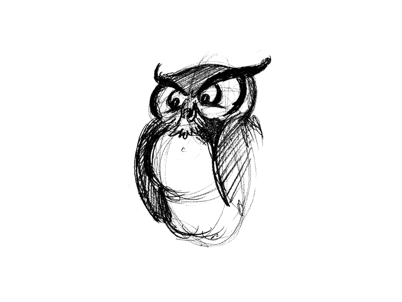 Owl Concepting [GIF] character concepts illustration owl