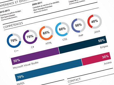 IT Resume design graph layout resume skills type