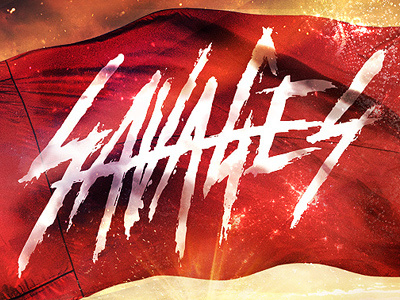 Album Art flag photo manipulation photography