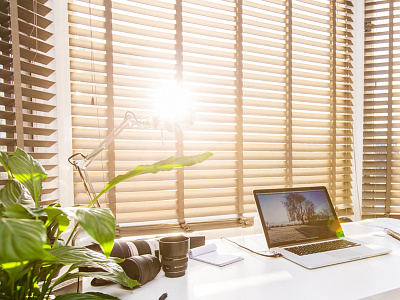 My new workspace! canon desk hq lab mac office photographer plants student studio sunshine workspace