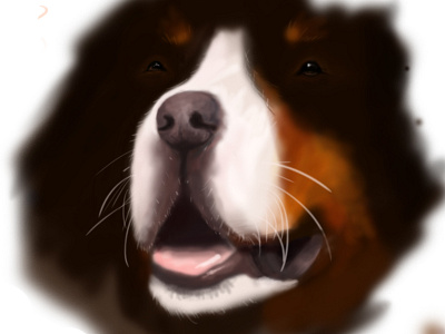 Doggie Illustration bernese dog doggie illustration mountain puppy