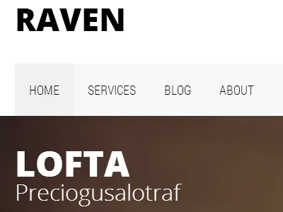 Raven raven clean sleek modern theme