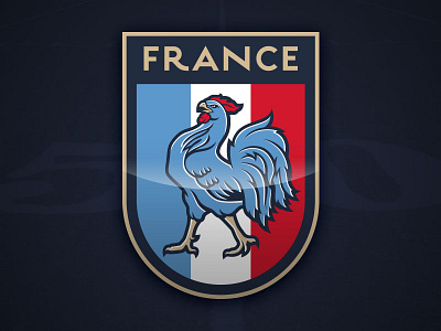 France Football branding football france sports