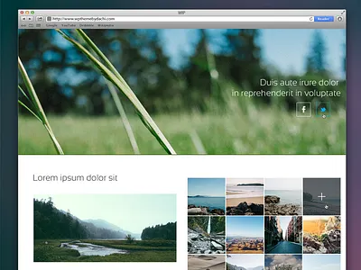 WP Theme WIP color design icons photoshop project web wip wordpress