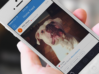 Mucho Macho! app application clean dog ios ios7 iphone macho mobile ui user interface