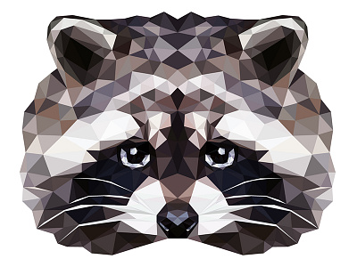 RACCOON animal illustration raccoon tranimal triangle vector