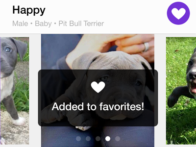 Petfinder pet details interaction ios7 mobile app design ui design