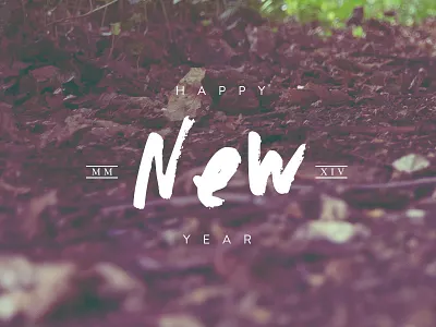 NYE 2014 happy new year mashup mashvp new year new years eve nody nye toulouse