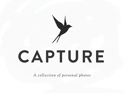 Capture logo