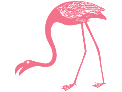 Audubon Flamingo svg web design