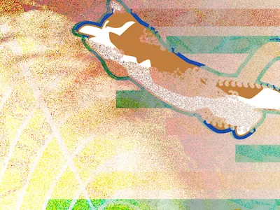 Cat Explosion illustration noise! vector