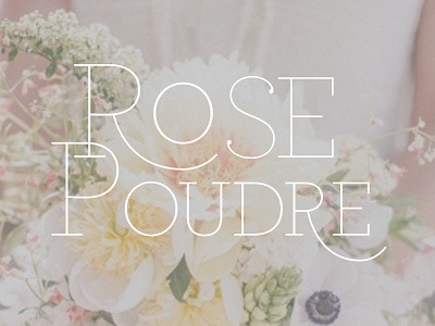 Rose Poudré archer font france light logo love mariage paris pink thin wedding