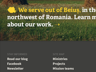 Footer nonprofit romania