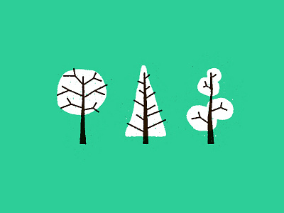 Some Trees forest nature outdoors pine tree trees