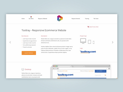 DM Site - Case Study colour design flat isomectric ui web