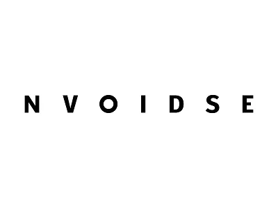 Noise And Void logo
