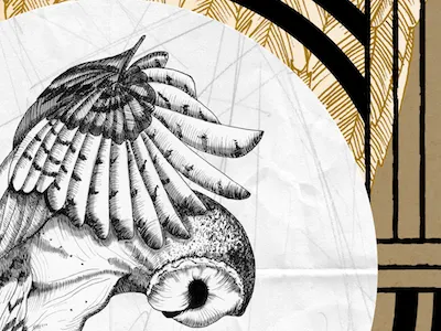 The Young Owl art carolina grönholm design drawing graphic illustration ink owl poster print