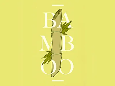 Bamboo bamboo barcelona green ibiza ilustration melbourne oscar torres tryme typography