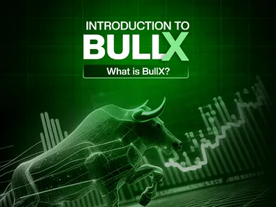 Bullx_io branding graphic design