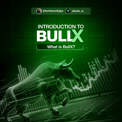 Bullx_io branding graphic design