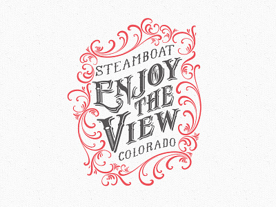 Enjoy The View apparel colorado flourish tshirt typography