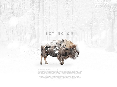 Extinción 1310 animal bison extinction jesus gerardo garcia arballo mexico trecediez