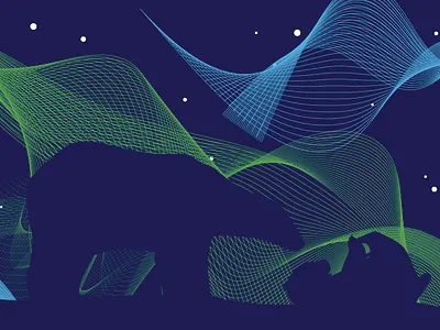 Aurora Borealis aurora borealis polar bear