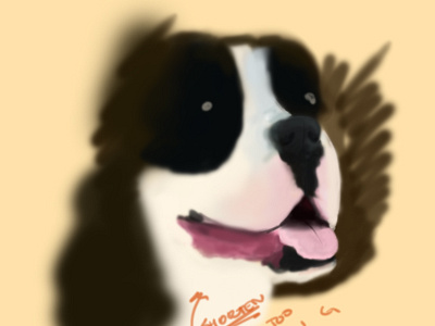 Rocky the Dog dog doggie doggy illustration rocky wip