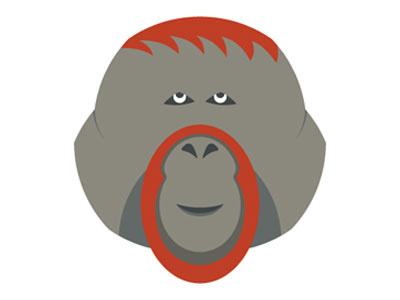 Minimal 147 illustration minimal minimals monkey orangutan vector yearofminimals