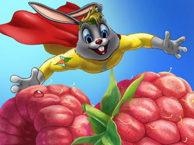 Rabbit! character rabbit