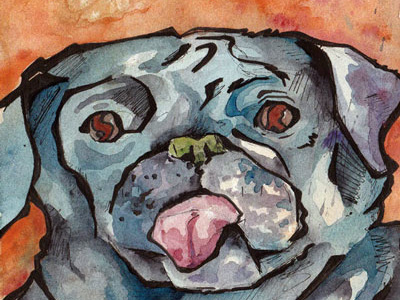 A Pug Shot animal dog pet pug watercolor