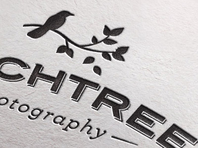 Birchtree Pressed bird black custom type identity logo tree typography