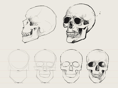 How to Draw a Skull art help illustration ink sketch skull tutorial