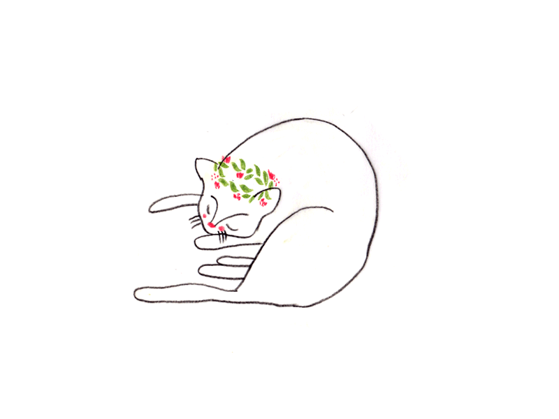 Cat (gif) cat crown flowers gif leaves