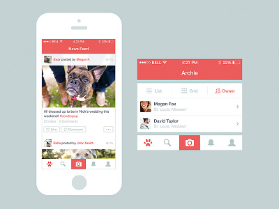 Dog App Updates app application dog flat icon ios7 iphone newsfeed profile ui