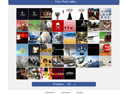 Flickr Photo Gallery gallery web app widget